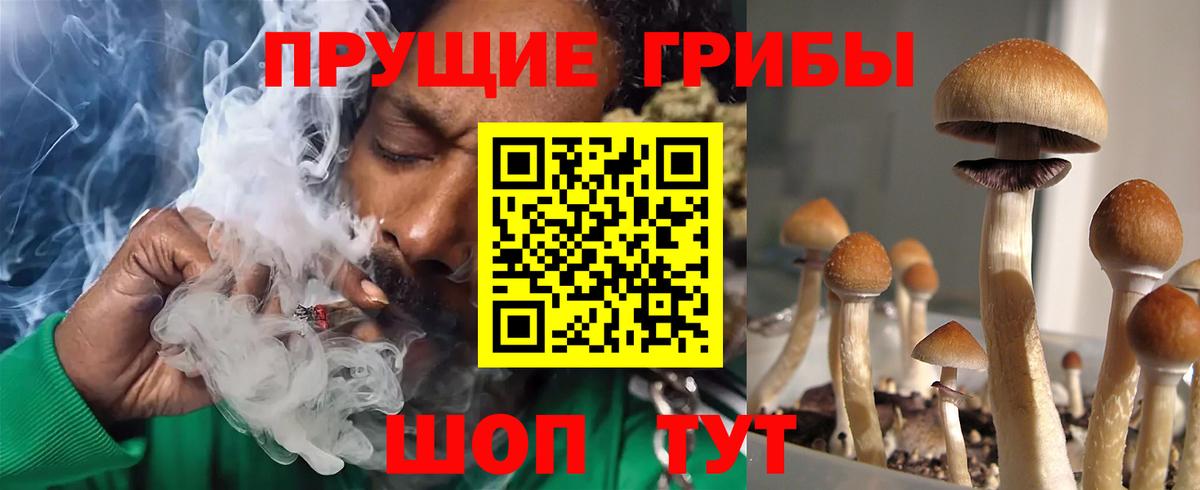 Астрахань  Псилоцибиновые грибы GOLDEN TEACHER  Вход с VPN 