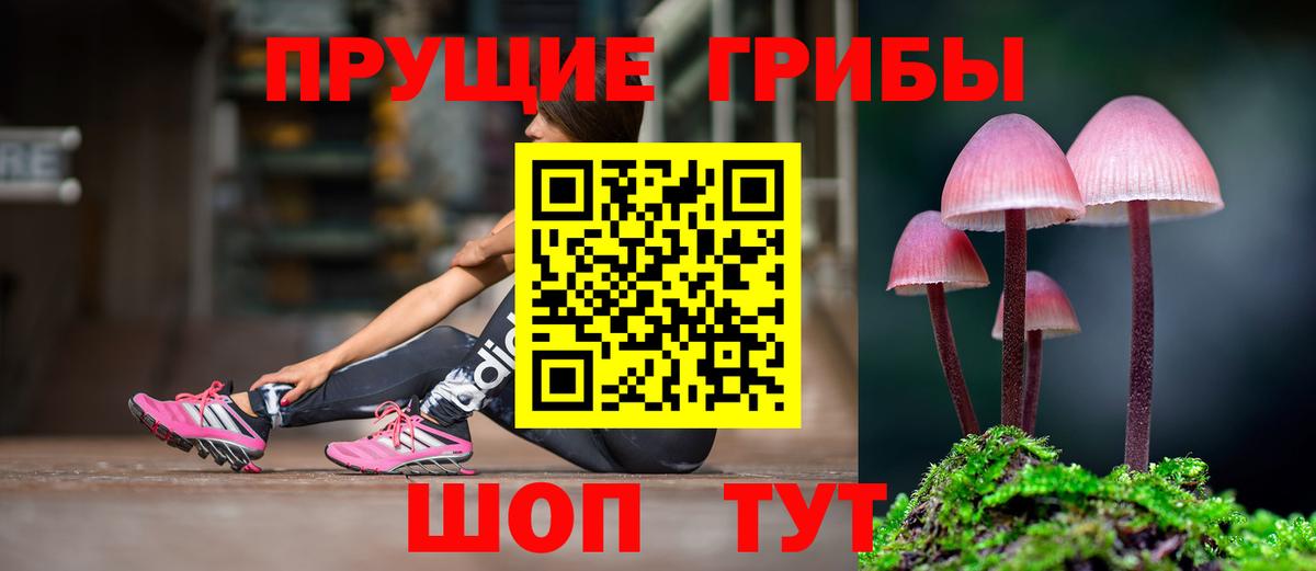 Псилоцибиновые грибы Psilocybine cubensis Астрахань